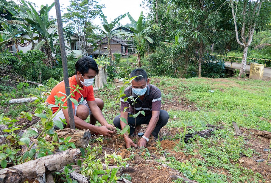 Community Development: Ekonomi Berkelanjutan Untuk Jaga Hutan