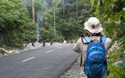 Ikuti Kuy Serunya Survei Populasi Monyet Ekor Panjang di Pulau Jawa, Sumatera, dan Kalimantan